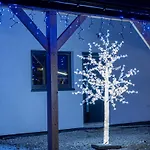 Zinhouse Wojakowa Willa